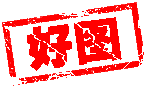 好图.gif