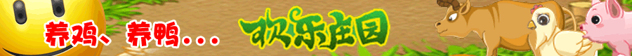 900×80.gif
