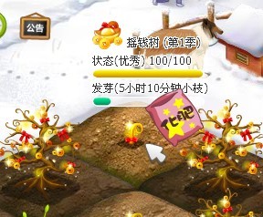 1233.jpg