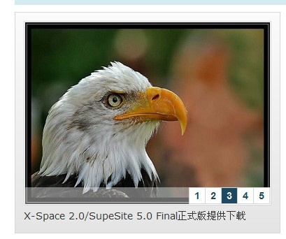 如何调用SS的首页幻灯片在其他页面显示?