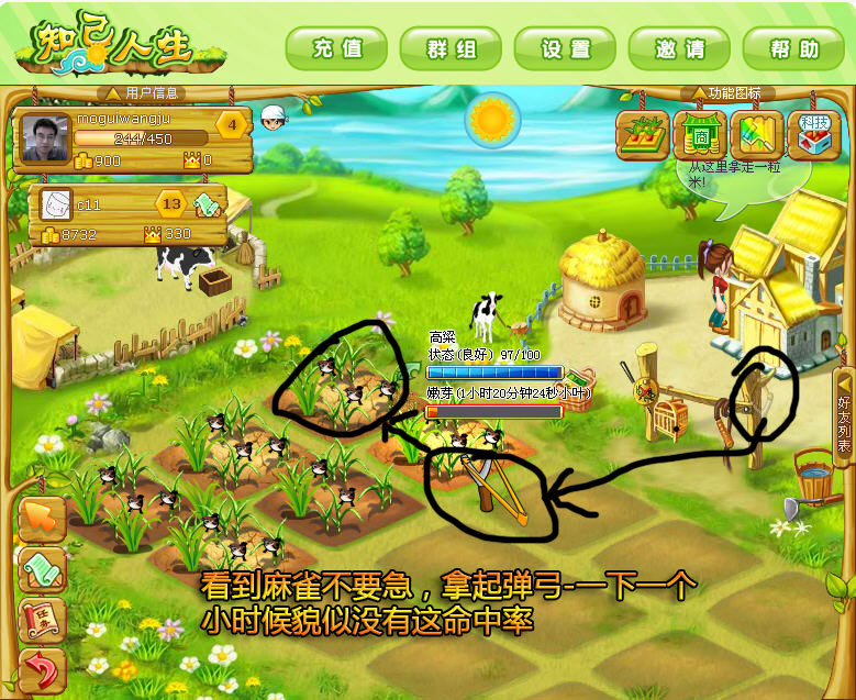 7.5.jpg